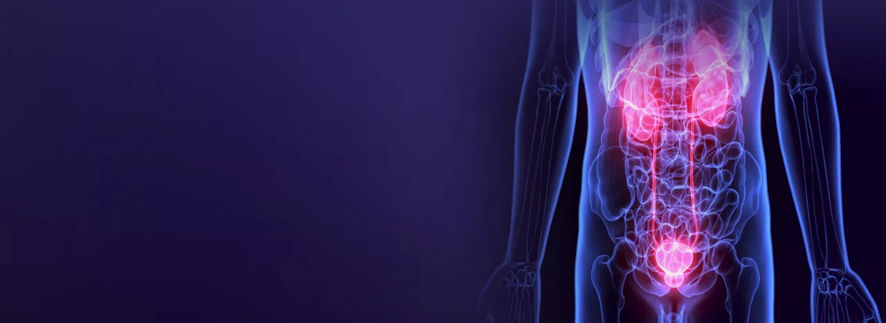urology-imaging-desktop