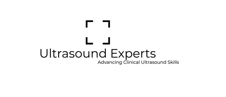 vascular-access-ultrasoundexpertslogo-vi-en