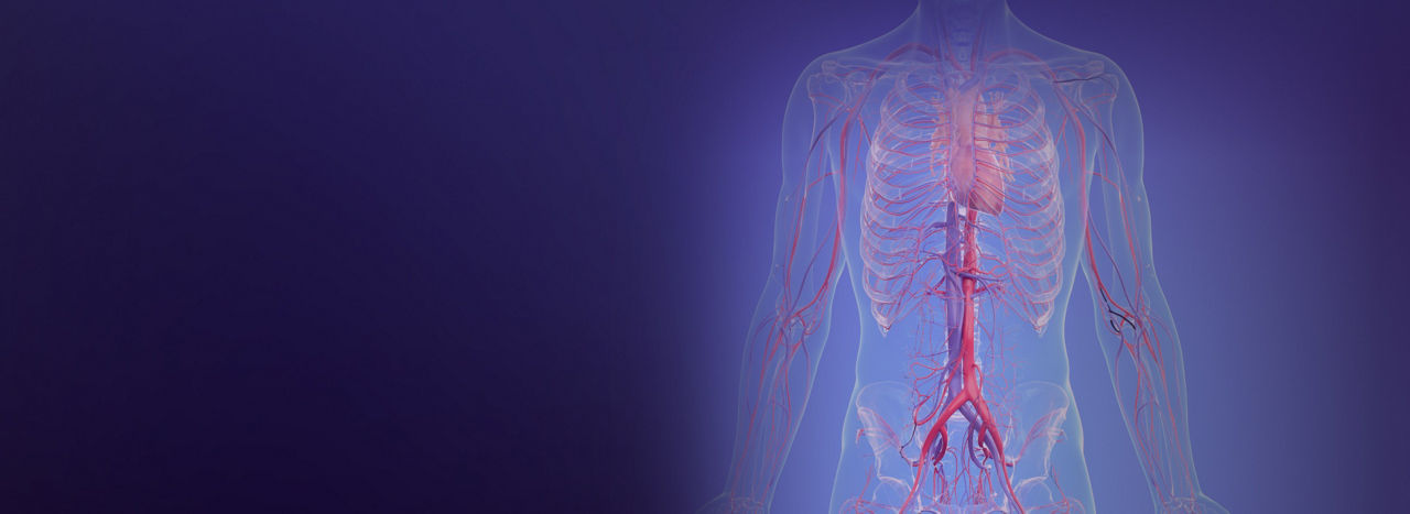 vascular-imaging-desktop