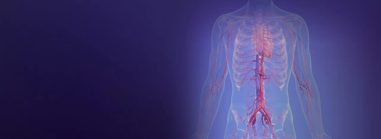 vascular-imaging-desktop