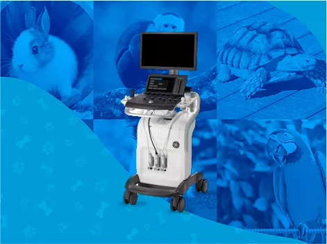 Versana_Premier_VET