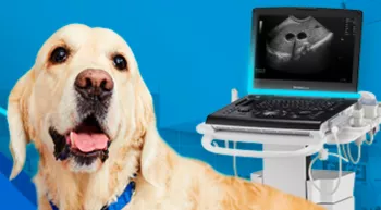 Vet - Product Listing