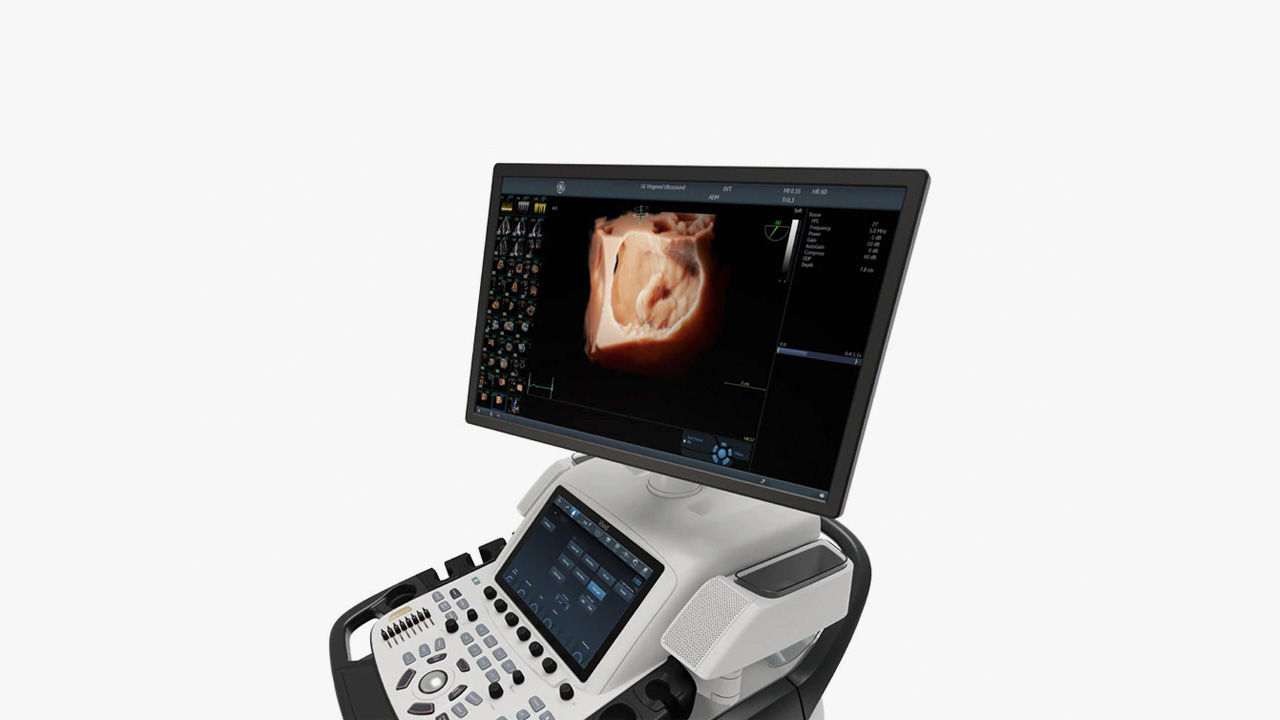 a monitor with the Vivid E95 Edition program