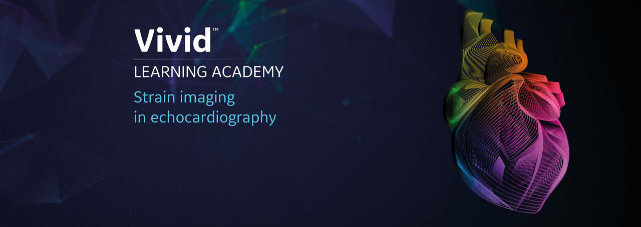 vivid-learning-academy