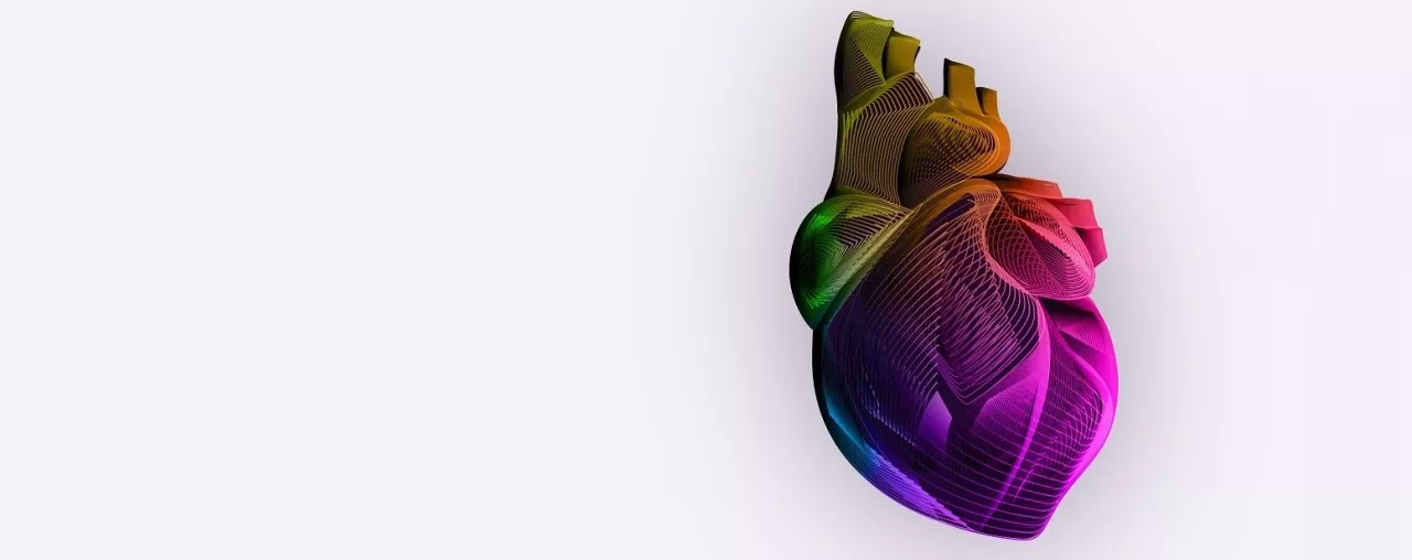 vivid-learning-academy-heart-ase-vi-en