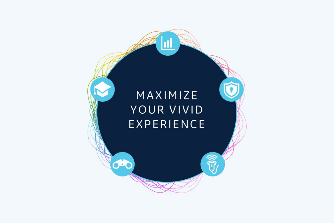 vivid-service-image
