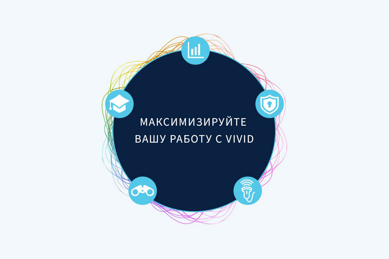 vivid-service-image