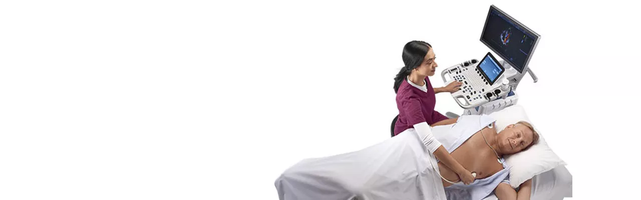 Vivid T8 Banner_new