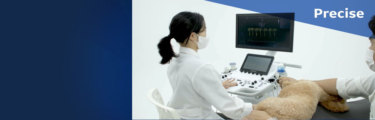 Vivid-T9-banner1200x400 Korea