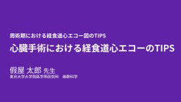 vivid talks1
