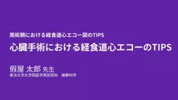 vivid talks1