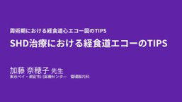 vivid talks2