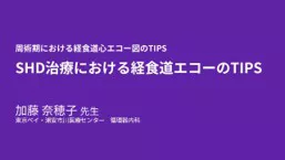 vivid talks2