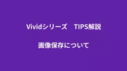 vivid talks4