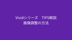 vivid talks5