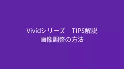 vivid talks5