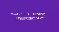 vivid talks6