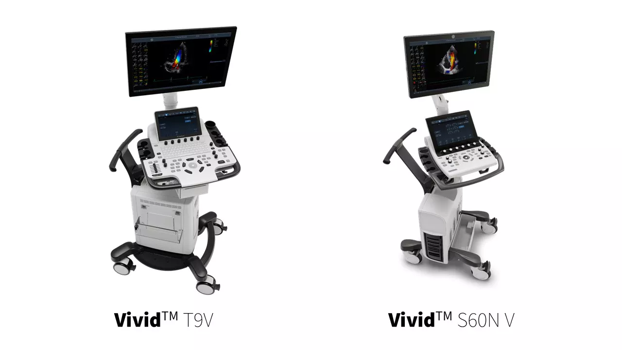 vivid-vet-linup