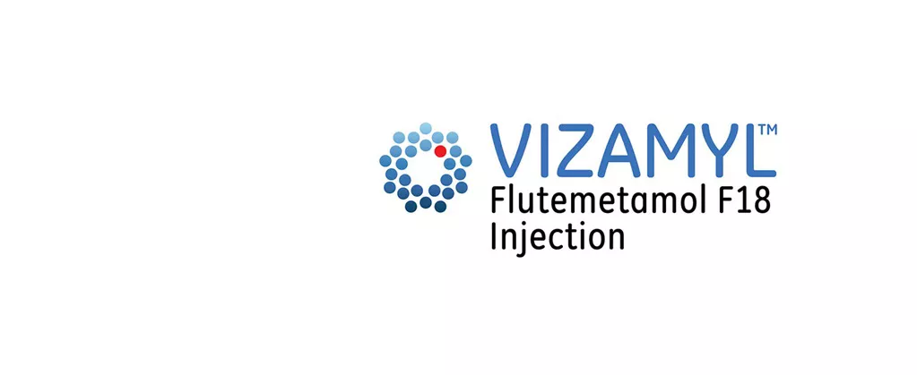 vizamy-banner-image