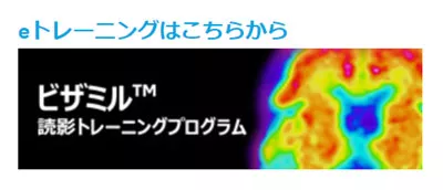 vizamyl-training