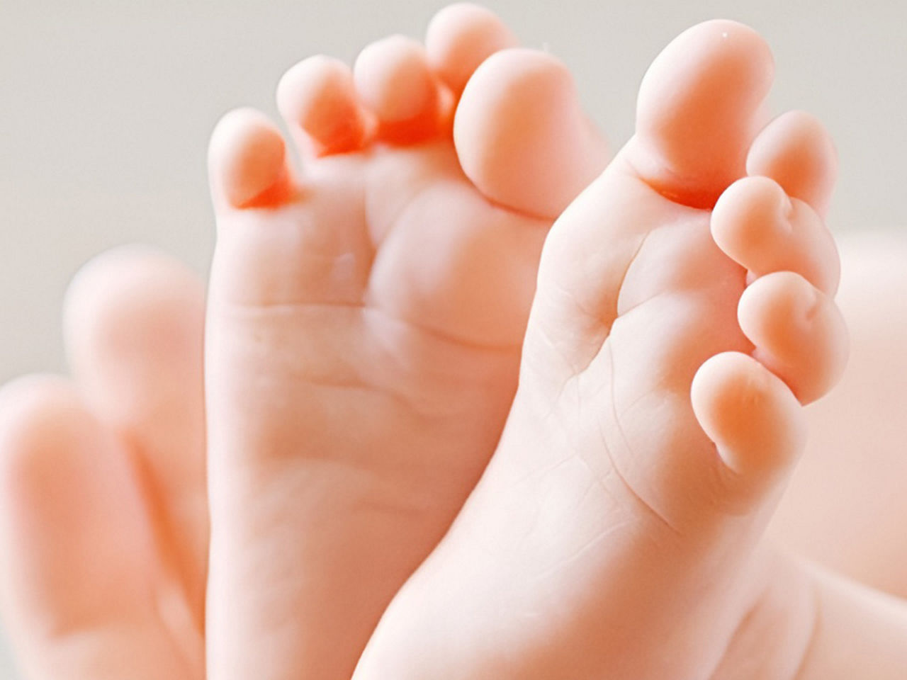 warmers-SCurve2-updated-ci-en