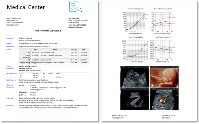 WHreport page 1