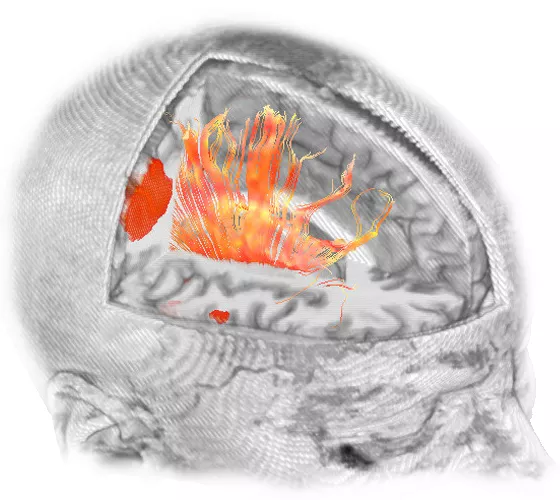 ies-do-not-clone-advanced-visualization-applications-brainwave-aw-brainwave_features_1.jpg