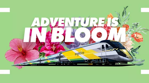 Adventure in Bloom train graphic