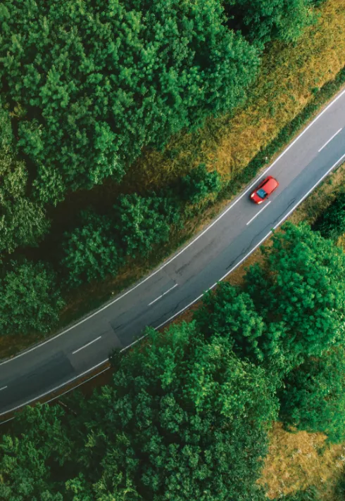 An AVIS advertisement with an aerial photo of a red sports car driving through the woods.