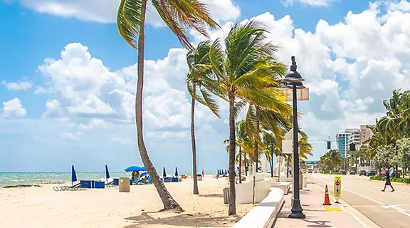 Seafront beach promenade with palm trees