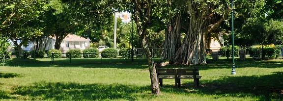 A wooden bench sits beneath a sprawling tree in a sunlit park. The scene features lush green grass, leafy trees, and distant residential buildings. Shadows and sunlight create a tranquil atmosphere, with a lamppost visible nearby. No people are present, emphasizing the peaceful outdoor setting.