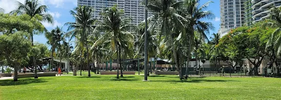 The image features a vibrant green park with numerous palm trees under a clear blue sky. In the background, tall modern skyscrapers rise above the park, creating a striking contrast between nature and urban architecture. A few people are visible enjoying the open space, and the overall mood is bright and relaxed. The scene is characterized by lush greenery, tropical foliage, and contemporary cityscape elements.