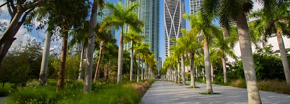 A wide pedestrian path is flanked by tall palm trees, leading toward a cluster of modern high-rise b