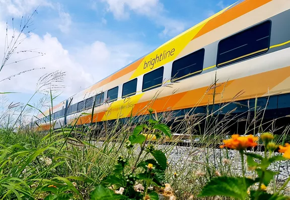 Sideview of Brightline's Bright Orange train passing by with orange wildflowers in the foreground