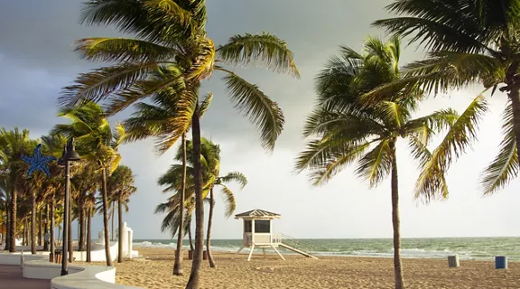 A palm tree-lined beach with a life guard stand overlooking ocean waves.