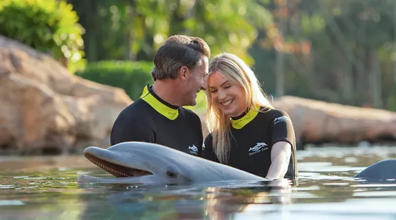 A couple swimming with a dolphin
