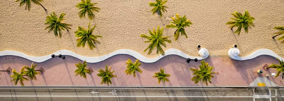An aerial view captures a curving beachfront promenade bordered by a sandy beach and evenly spaced palm trees. The sinuous white wall separates the warm-toned sand from the pinkish walkway. A road with lane markings runs parallel to the promenade at the bottom of the image. The scene emphasizes geometric patterns, contrasting textures, and a sunny coastal atmosphere.