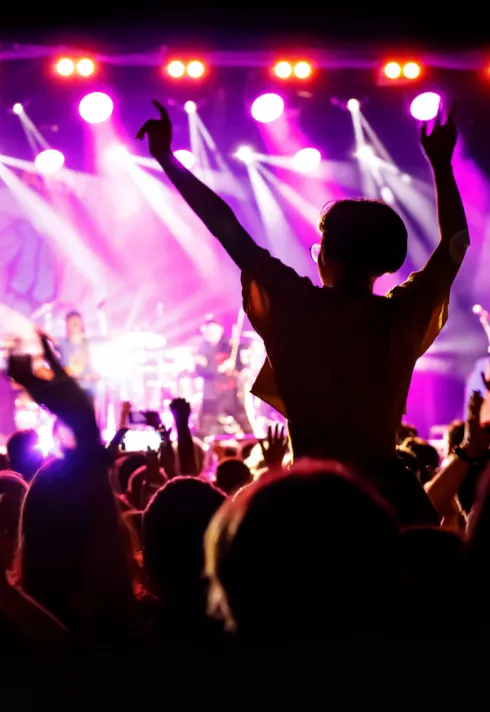 A crowd of concert attendees cheering and dancing. 