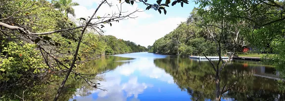 A calm river stretches into the distance, reflecting the blue sky and scattered clouds on its glassy surface. Dense green foliage lines both banks, with overhanging branches framing the scene in the foreground. A small dock and boat are visible on the right side, suggesting quiet recreational use of the waterway. The overall atmosphere is serene and natural, emphasizing the beauty of a tropical riverside landscape.