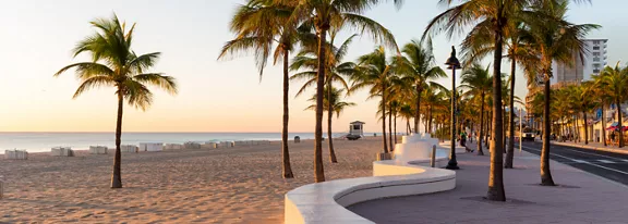 A tranquil beachfront promenade is lined with tall palm trees at sunrise. The smooth white curved wall guides the eye along the walkway beside the sandy beach. Calm ocean water reflects the warm early morning light on the horizon. A few distant structures and a lifeguard tower appear along the shoreline, adding subtle urban elements to the serene coastal scene.