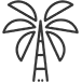 Palm tree icon