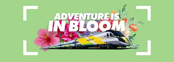 flowers arranged behind image of train with the words adventure in bloom on top