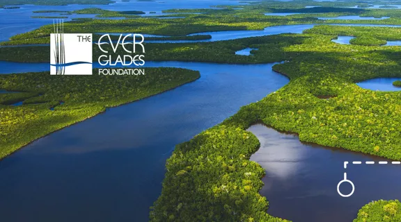 An aerial picture of the Everglades' blue, tree-lined waterways. A white logo for The Everglades Foundation is on the left, with a white water bottle graphic on the right.