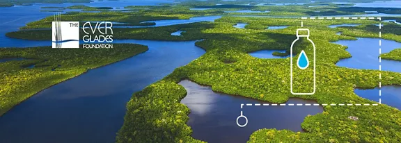 An overhead panoramic shot of the Everglades waterways, surrounded by swampland. On the left is a white logo for The Everglades Foundation, while the right shows a white water bottle graphic.