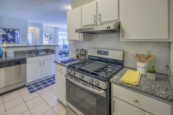 kitchen at Aventura RTP Apartments 