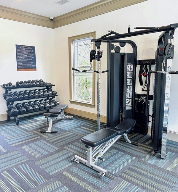 Modern fitness center with state-of-the-art equipment at Avana Long Point Apartments