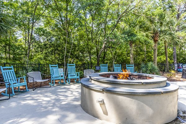 fire pit at Avana Long Point Apartments