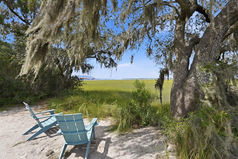 Shaded dog park with agility equipment at Avana Long Point Apartments, perfect for pet-friendly living and outdoor pet activities