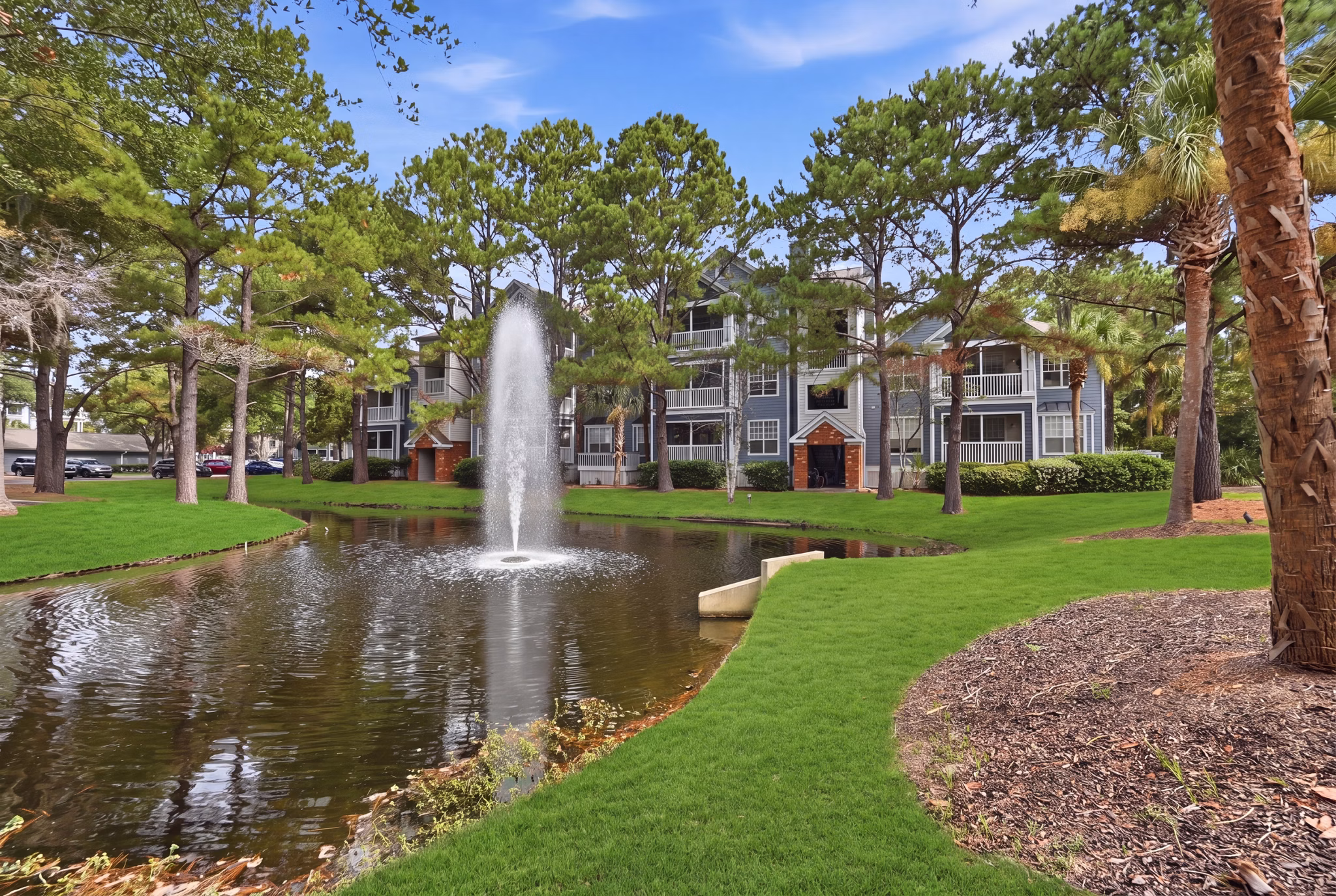 dog park at Avana Long Point Apartments