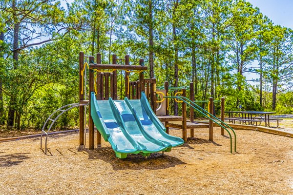 playground at Avana Long Point Apartments